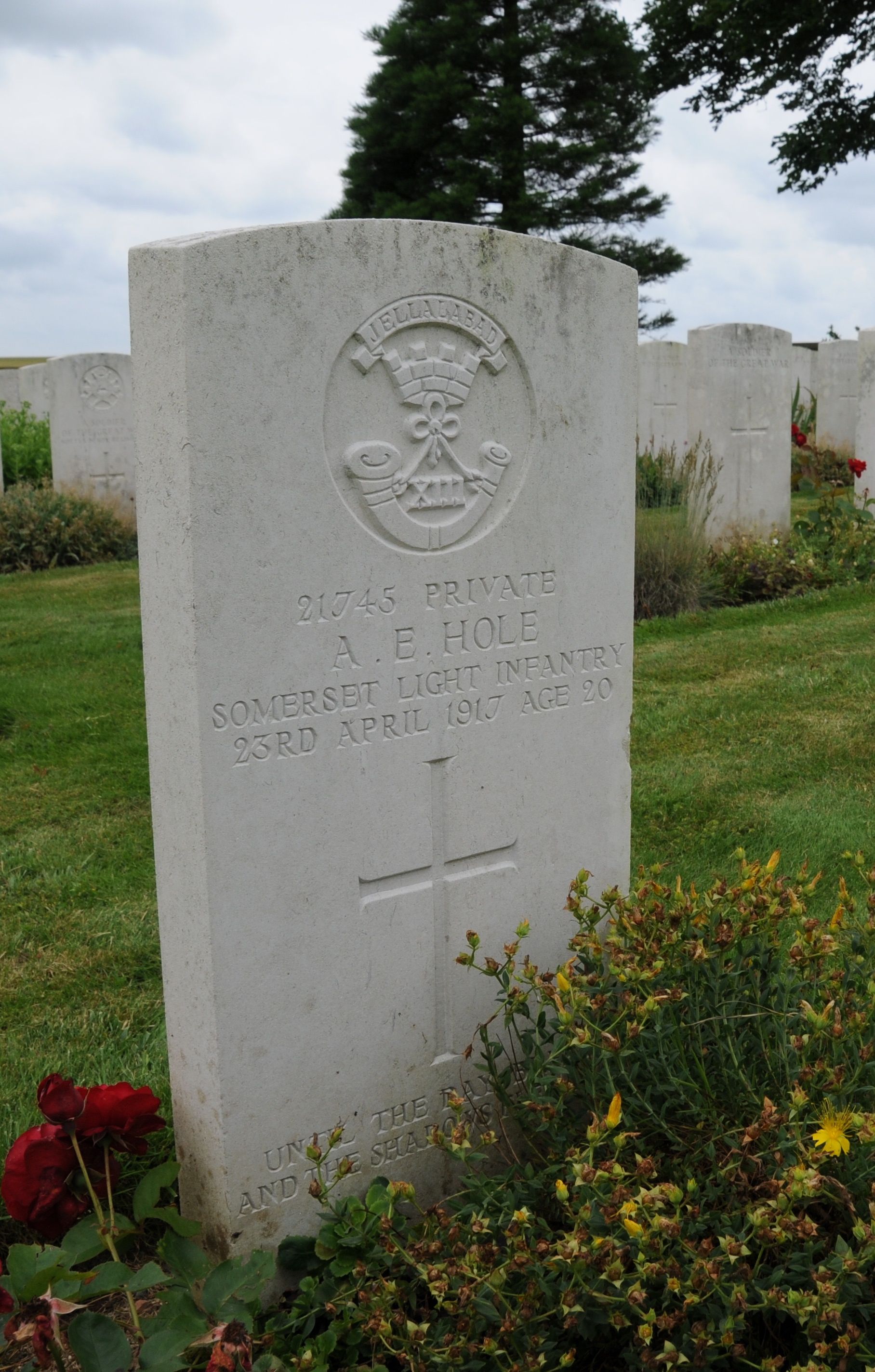 Albert Hole's grave